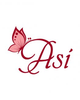 asivil-logo